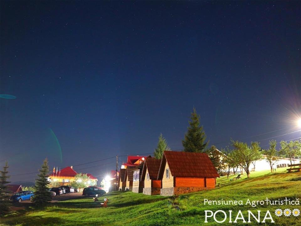 Pensiunea Agroturistica Poiana Poiana Negrii Exteriör bild