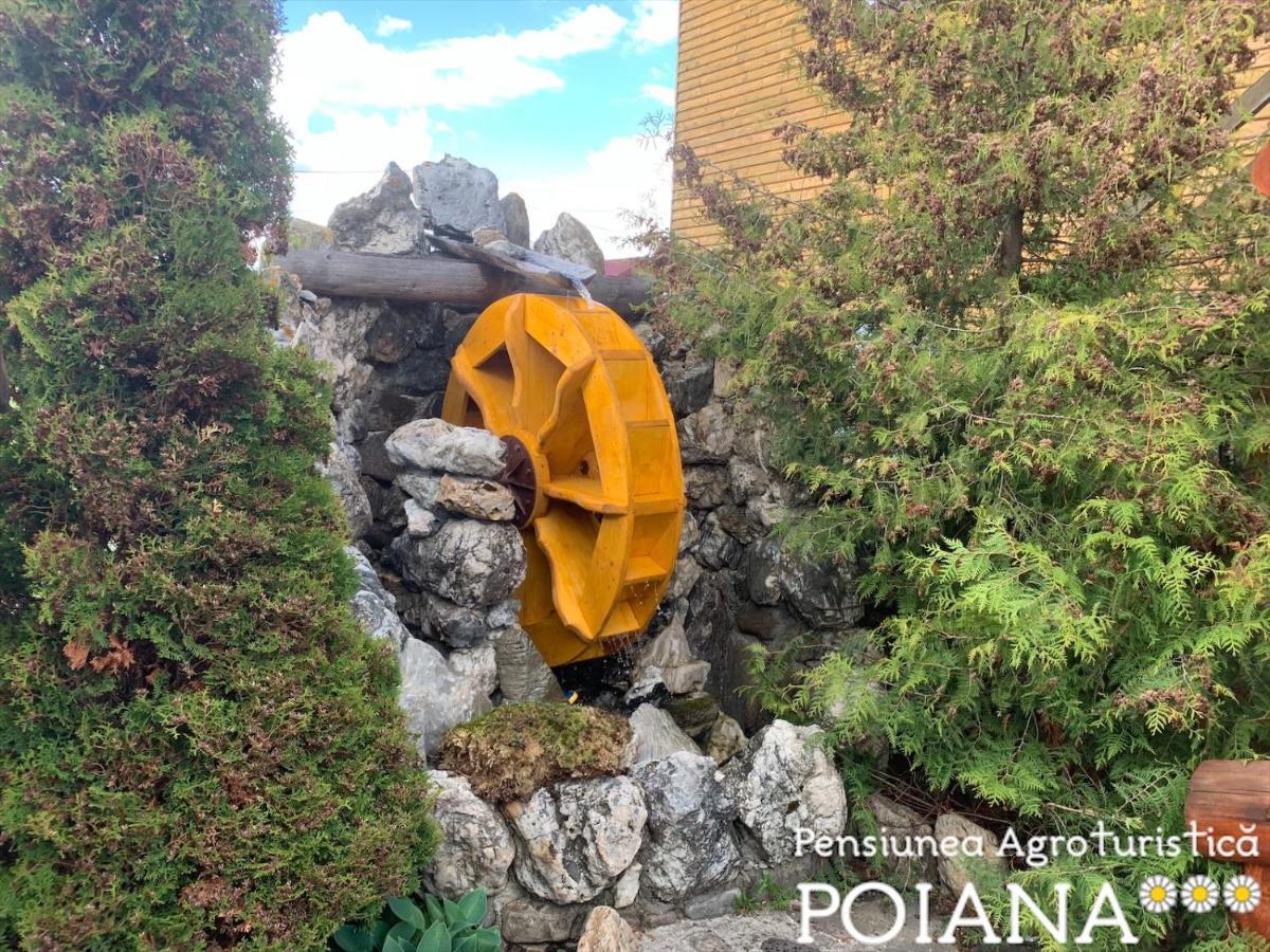 Pensiunea Agroturistica Poiana Poiana Negrii Exteriör bild