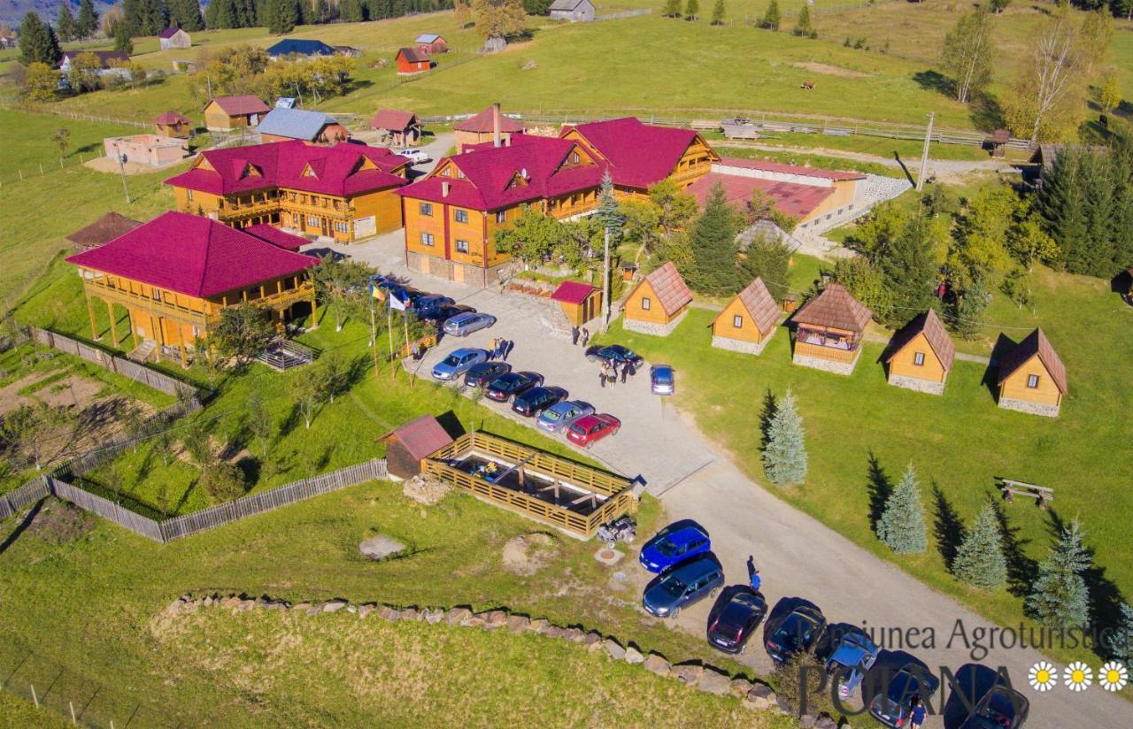 Pensiunea Agroturistica Poiana Poiana Negrii Exteriör bild